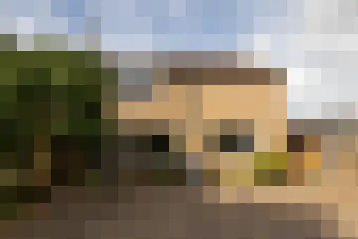 Jan Barendselaan 197 Poeldijk thumbnail 40