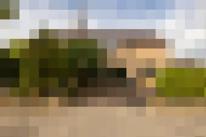 Jan Barendselaan 197 Poeldijk thumbnail 42
