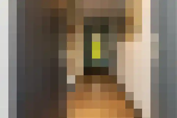 Jan Barendselaan 197 Poeldijk thumbnail 5