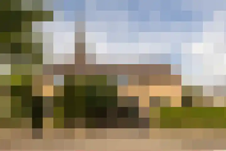 Jan Barendselaan 197 Poeldijk thumbnail 58
