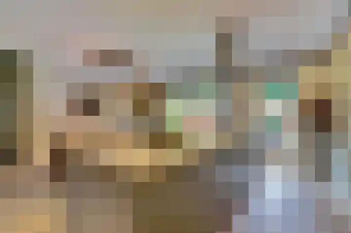 Jan Barendselaan 30 Poeldijk thumbnail 11