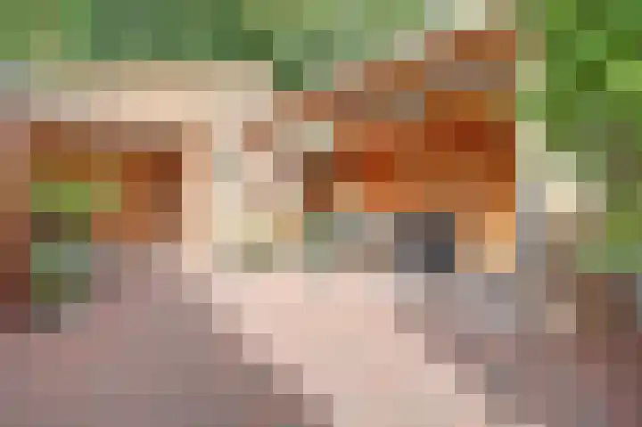 Jan Barendselaan 30 Poeldijk thumbnail 31