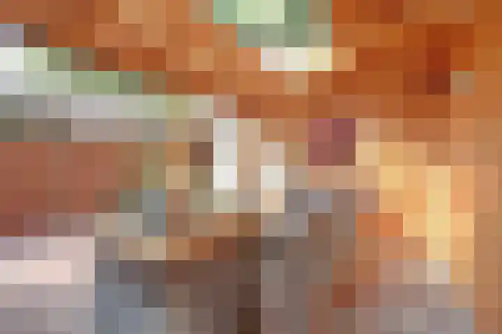 Jan Barendselaan 30 Poeldijk thumbnail 33