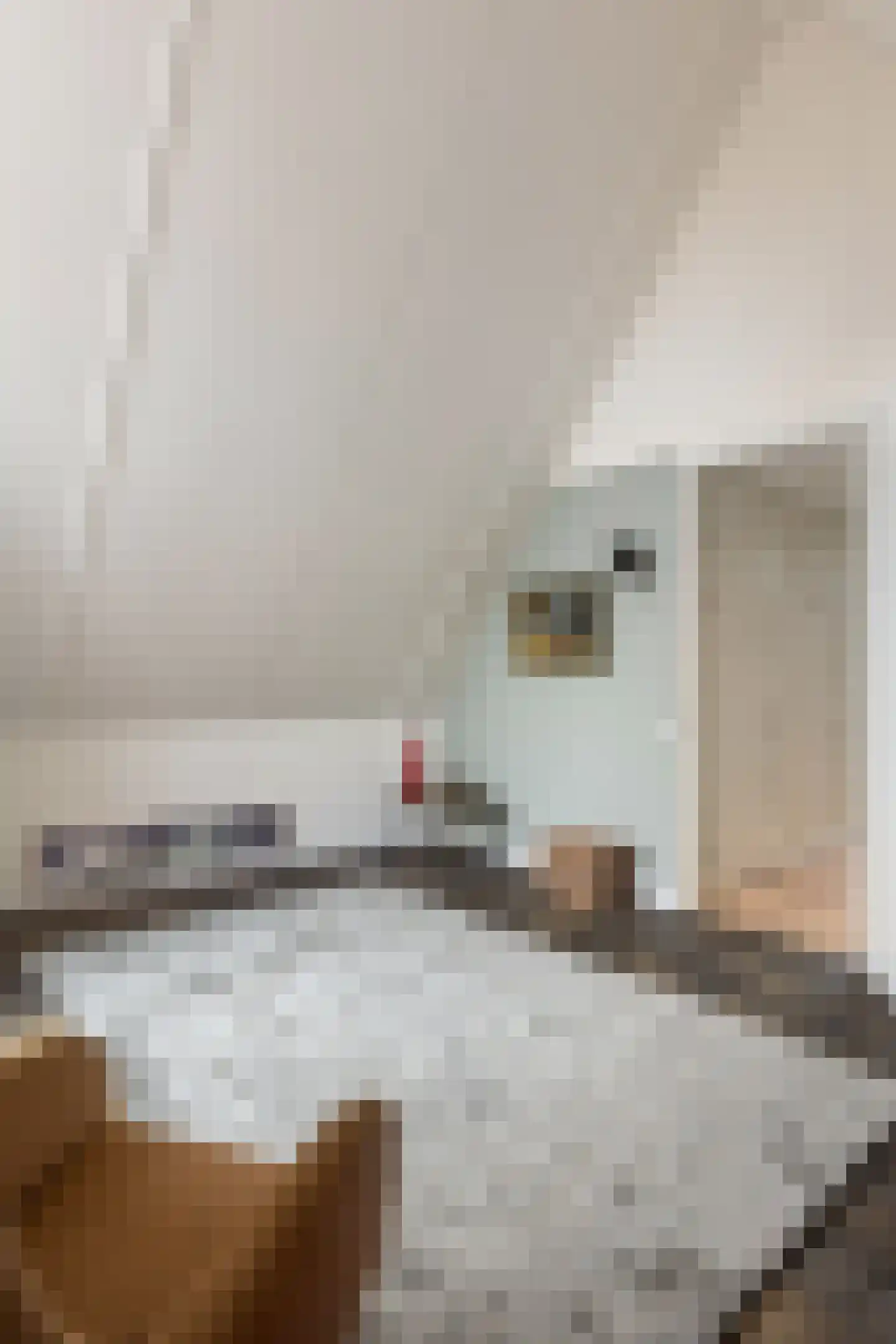 Jan Barendsenstraat 9 Apeldoorn thumbnail 37