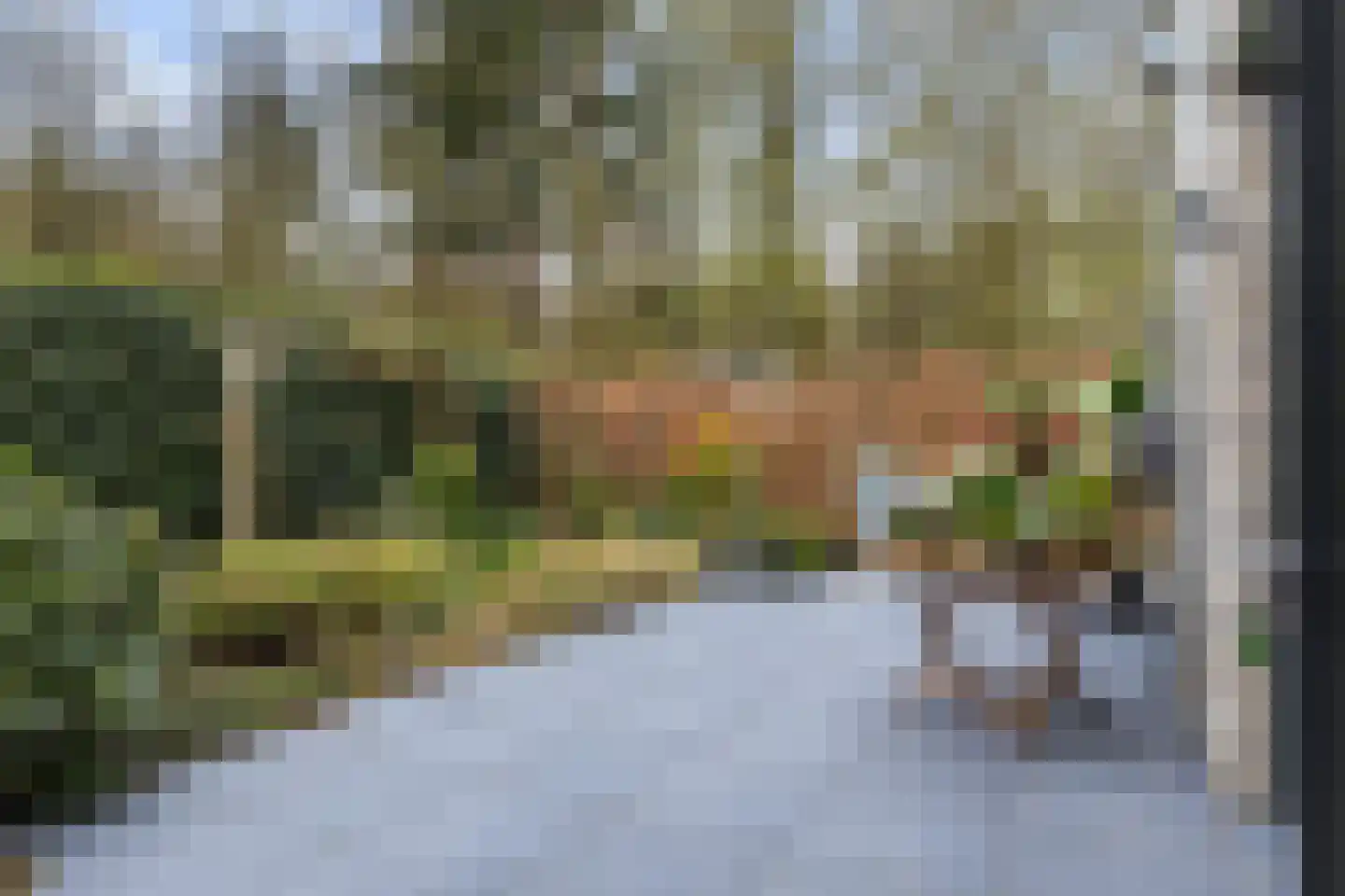 Jan Barendsenstraat 9 Apeldoorn thumbnail 46