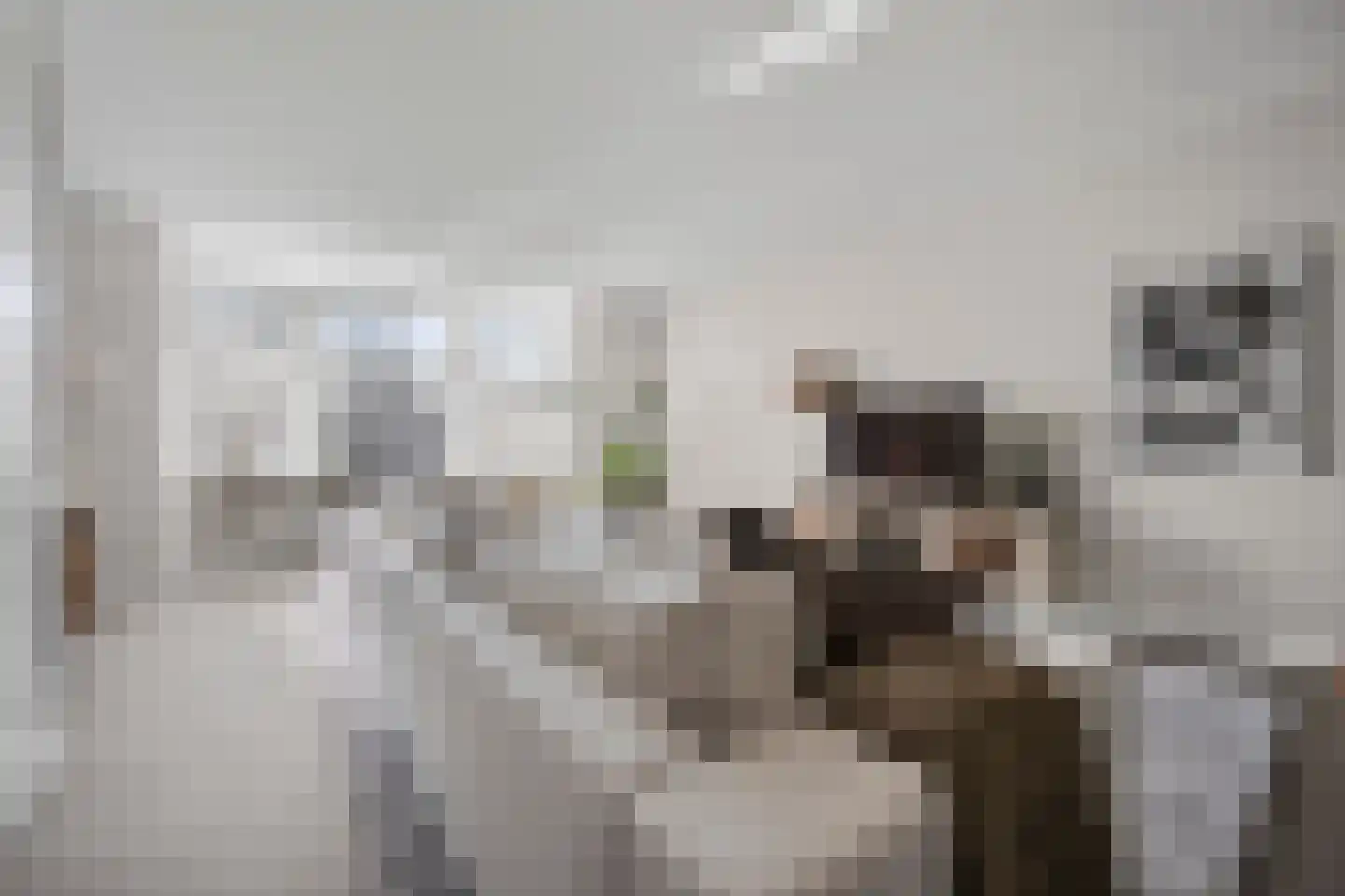 Jan Beerenspad 2 Kaatsheuvel thumbnail 10