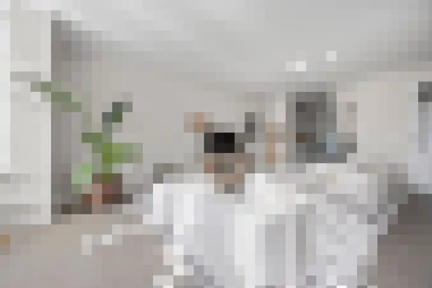 Jan Beerenspad 2 Kaatsheuvel thumbnail 11