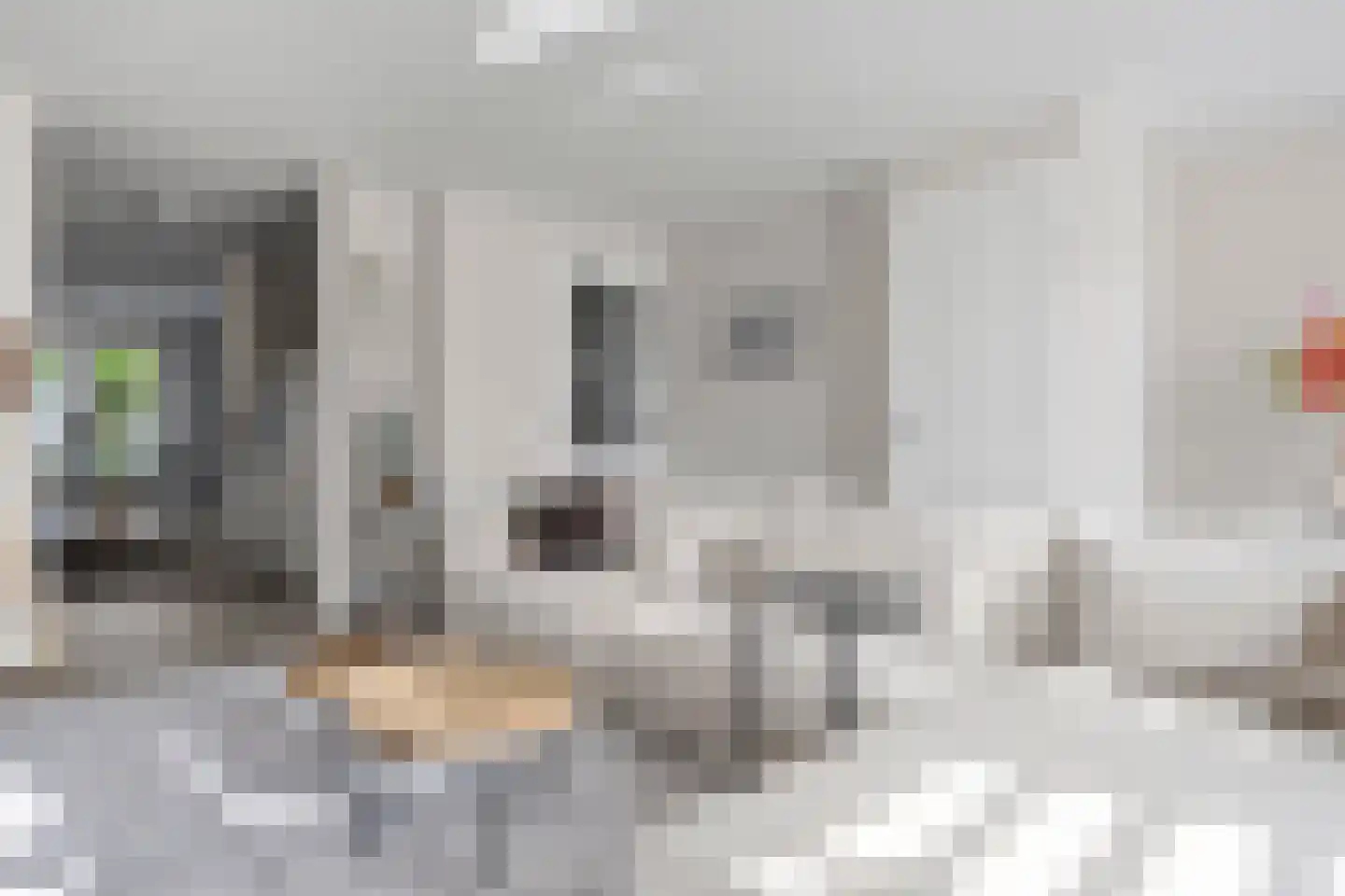 Jan Beerenspad 2 Kaatsheuvel thumbnail 14