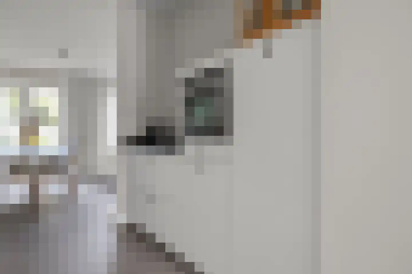 Jan Beerenspad 2 Kaatsheuvel thumbnail 17