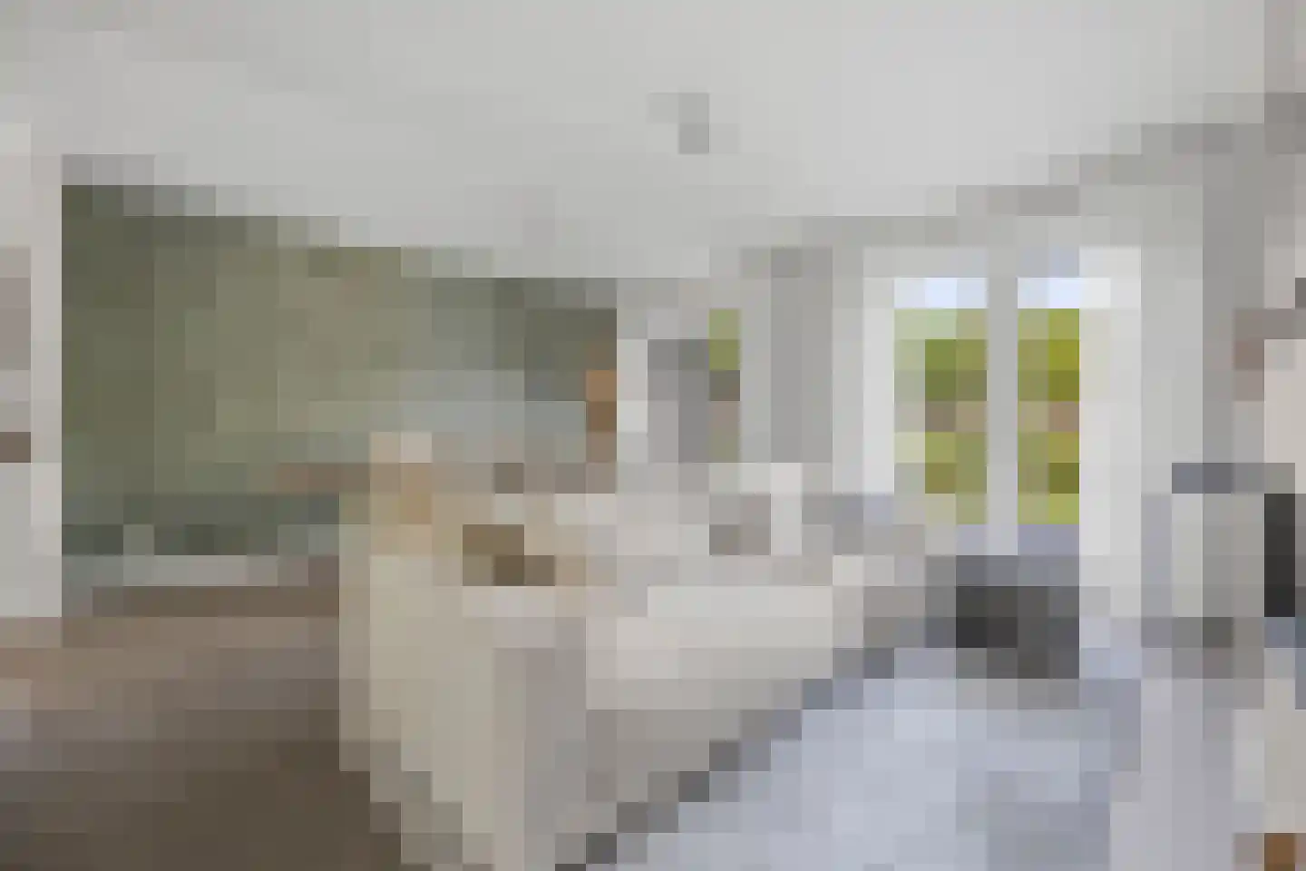 Jan Beerenspad 2 Kaatsheuvel thumbnail 21