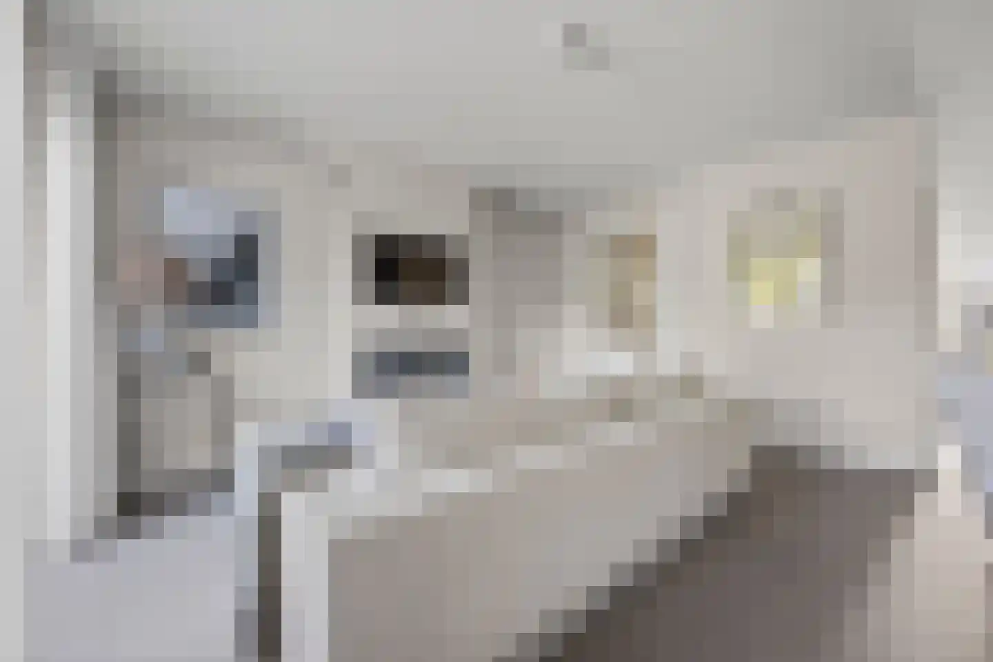 Jan Beerenspad 2 Kaatsheuvel thumbnail 23