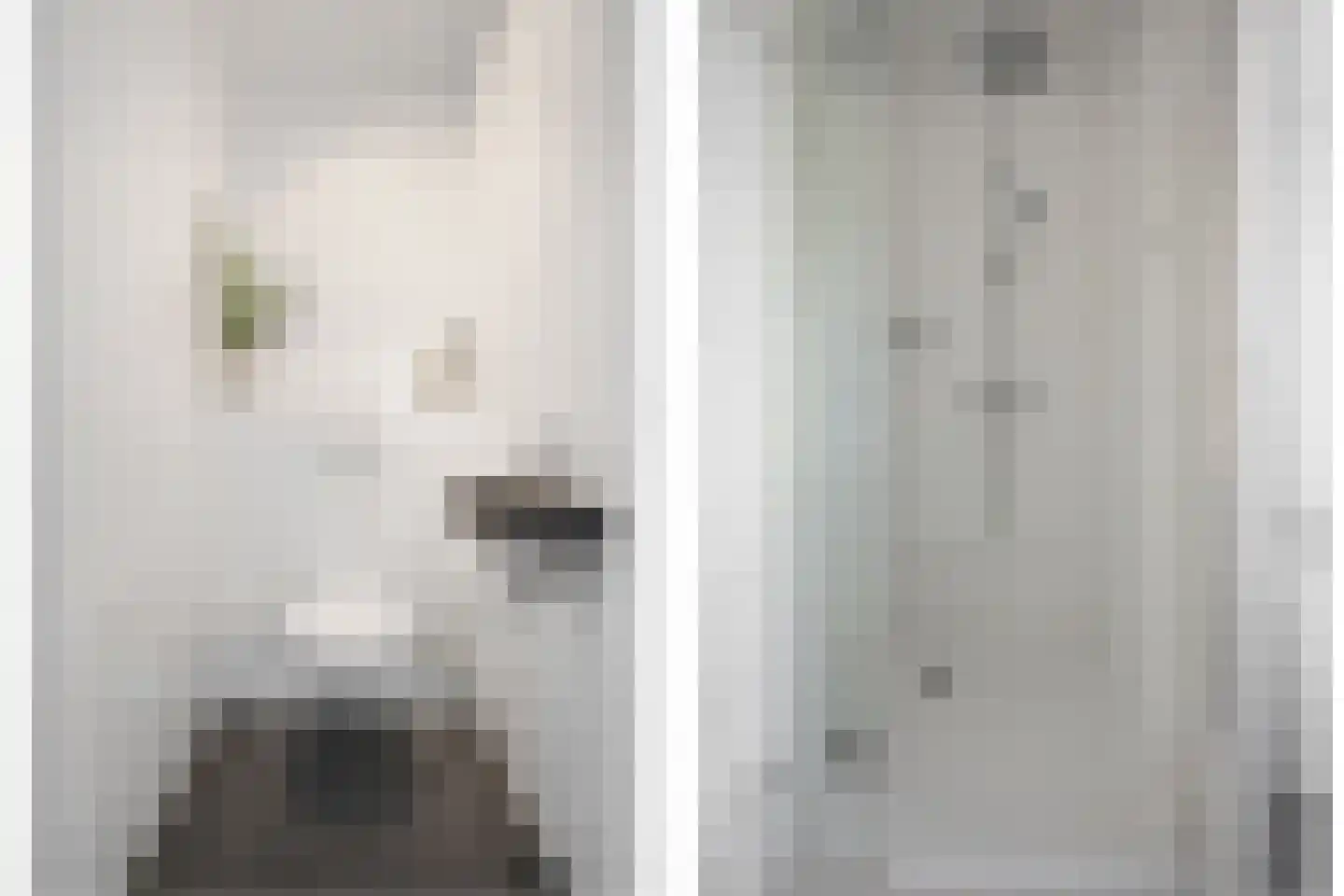 Jan Beerenspad 2 Kaatsheuvel thumbnail 33