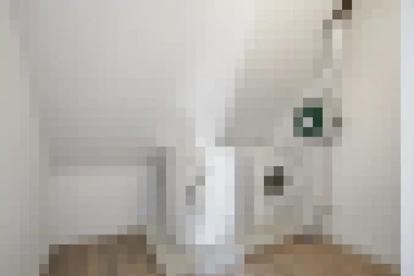 Jan Beerenspad 2 Kaatsheuvel thumbnail 36