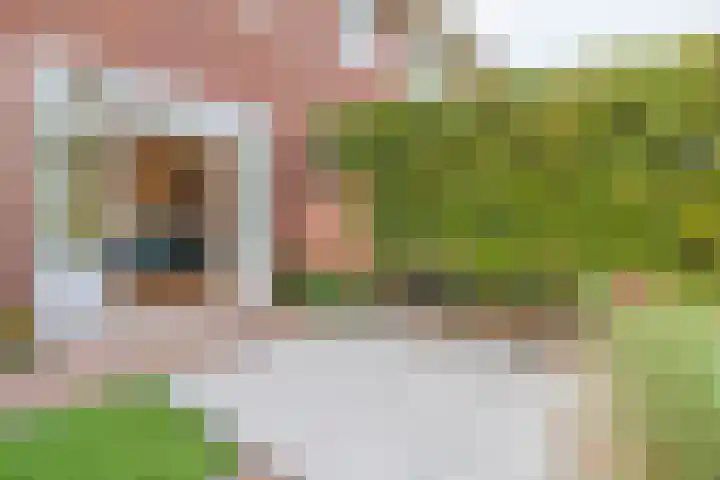 Jan Benninghstraat 44 Amstelveen thumbnail 16