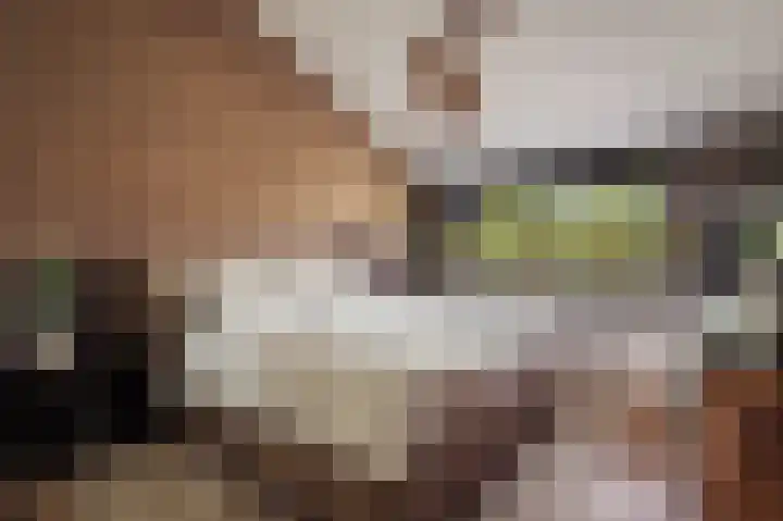Jan Benninghweg 23 Ouderkerk aan de Amstel thumbnail 28