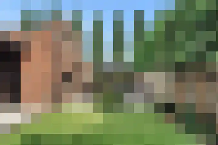 Jan Benninghweg 23 Ouderkerk aan de Amstel thumbnail 45