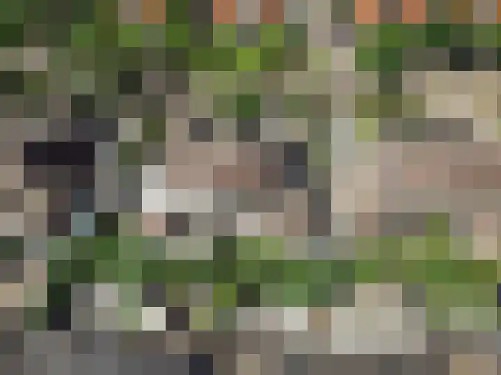 Jan Benninghweg 23 Ouderkerk aan de Amstel thumbnail 58