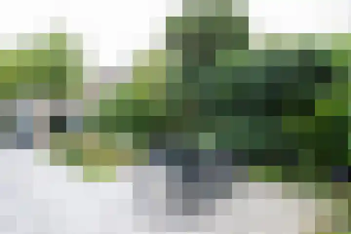 Jan Benninghweg 27 Ouderkerk aan de Amstel thumbnail 19