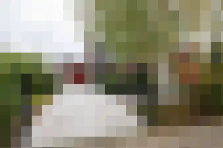 Jan Benninghweg 27 Ouderkerk aan de Amstel thumbnail 44