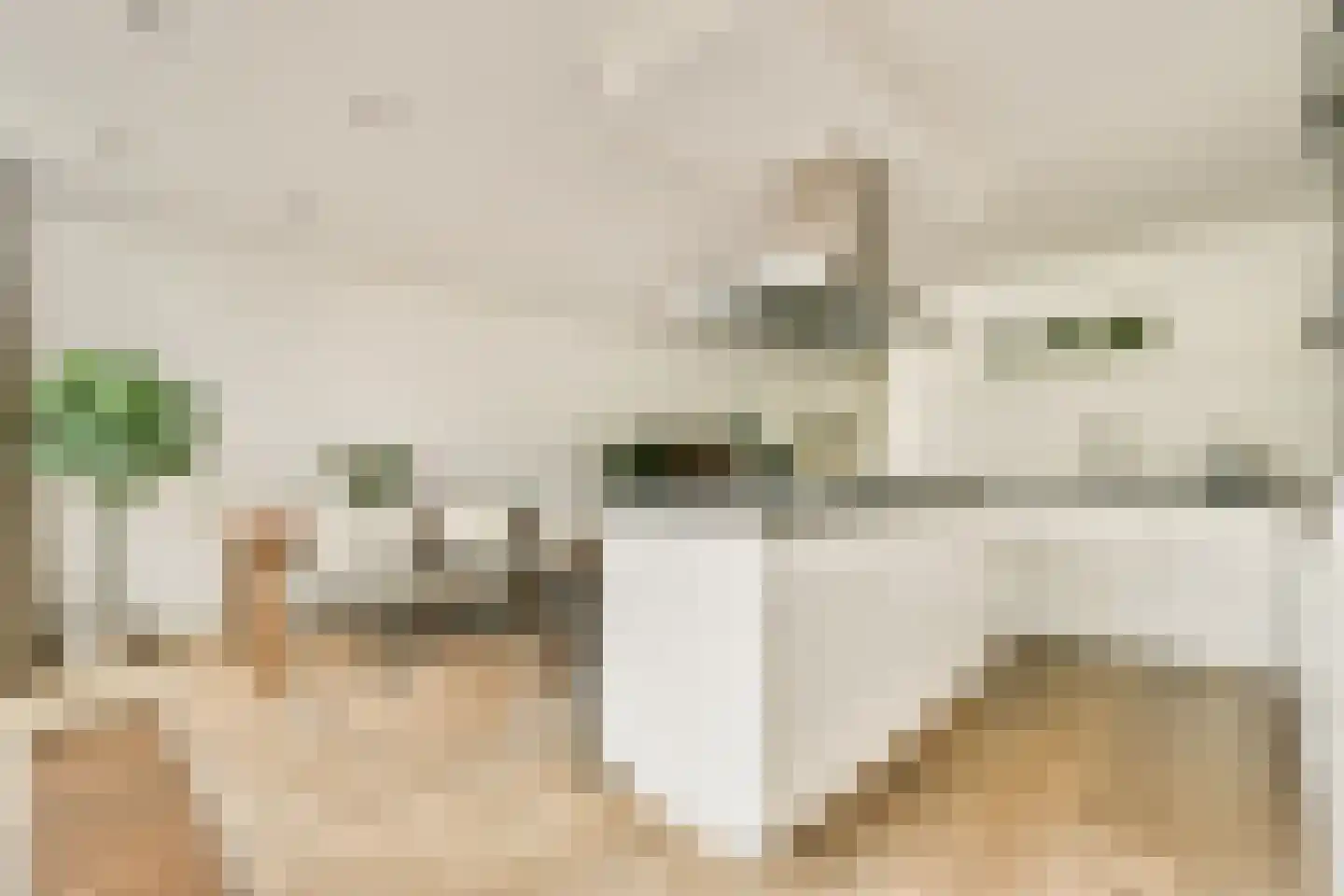 Jan Benninghweg 71 Ouderkerk aan de Amstel thumbnail 7