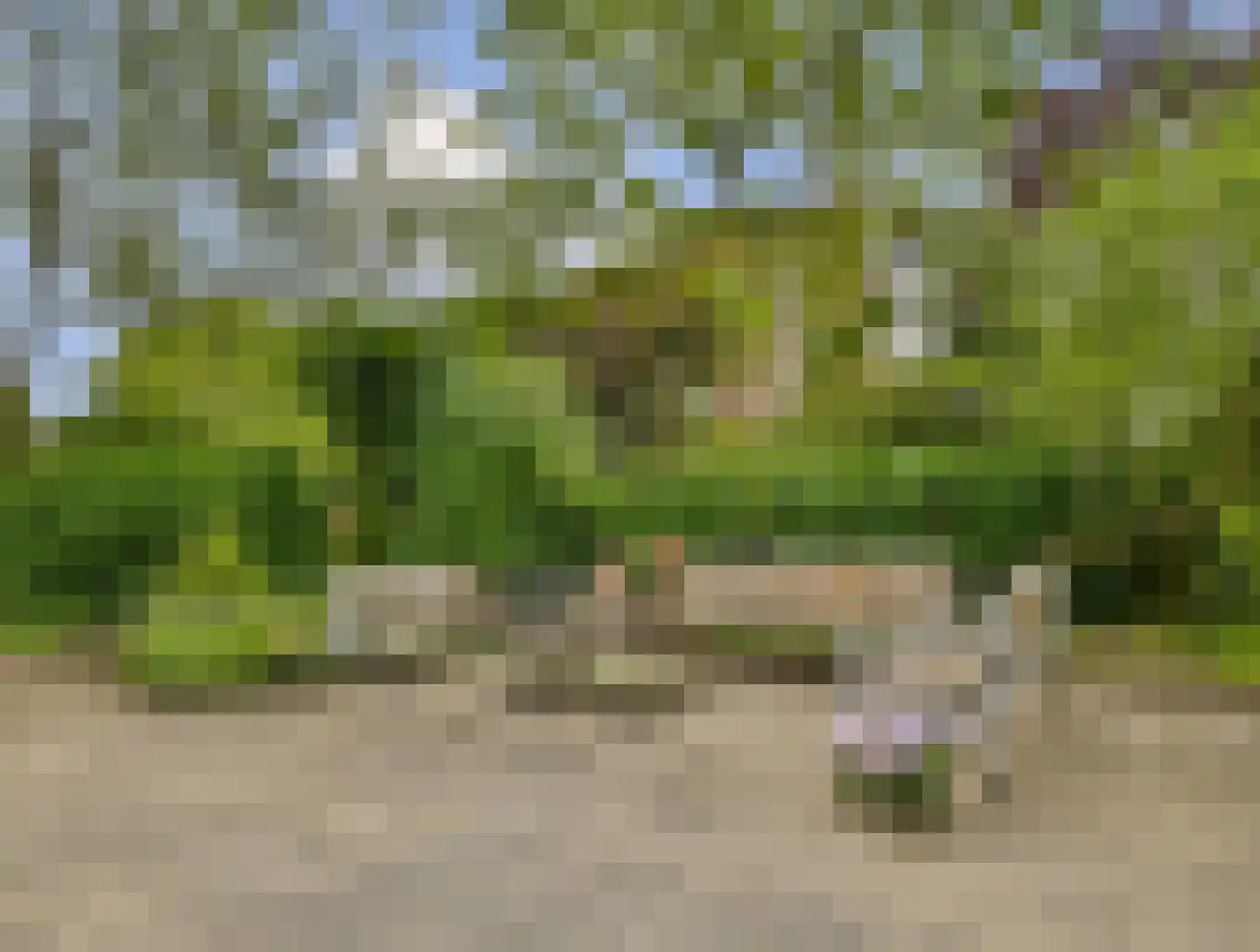 Jan Benninghweg 71 Ouderkerk aan de Amstel thumbnail 8
