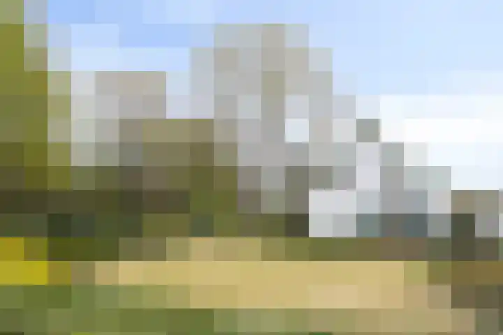 Jan Berendweg 7 De Rips thumbnail 10