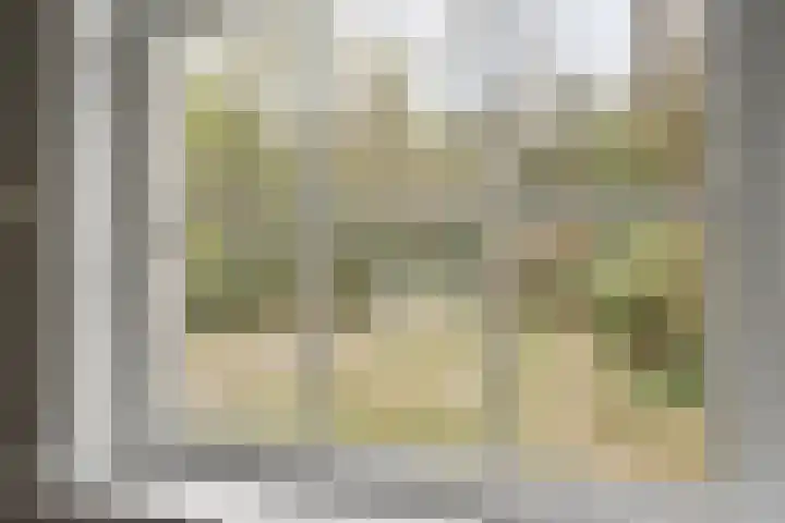 Jan Berendweg 7 De Rips thumbnail 16