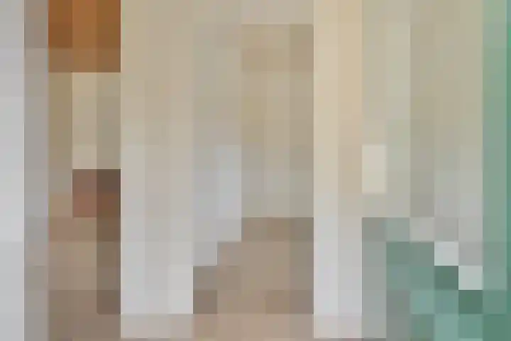 Jan Berendweg 7 De Rips thumbnail 18
