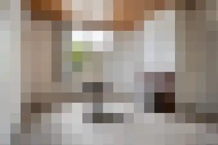 Jan Berendweg 7 De Rips thumbnail 23