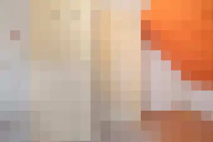 Jan Berendweg 7 De Rips thumbnail 29