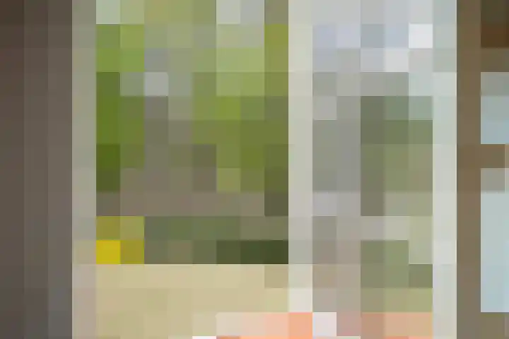 Jan Berendweg 7 De Rips thumbnail 30