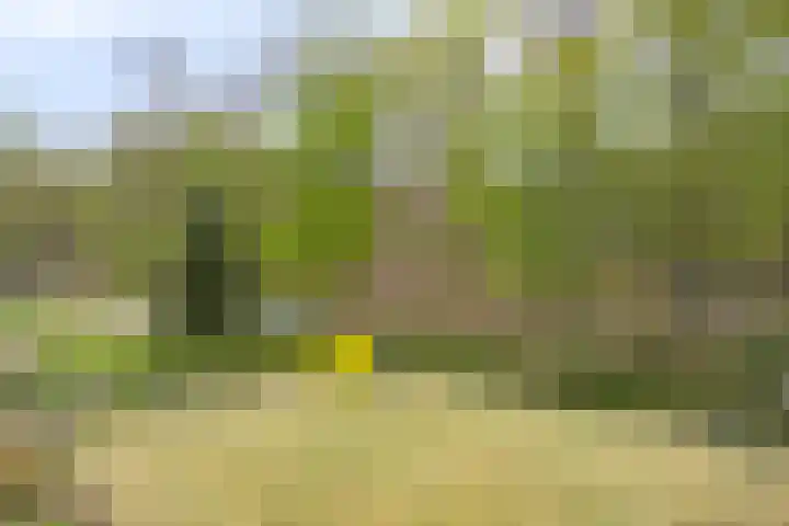 Jan Berendweg 7 De Rips thumbnail 31