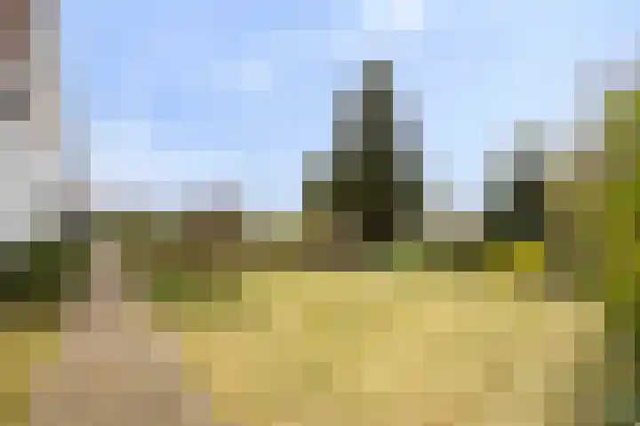 Jan Berendweg 7 De Rips thumbnail 38