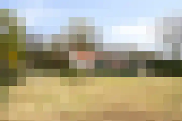 Jan Berendweg 7 De Rips thumbnail 39