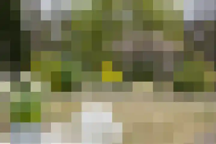 Jan Berendweg 7 De Rips thumbnail 40
