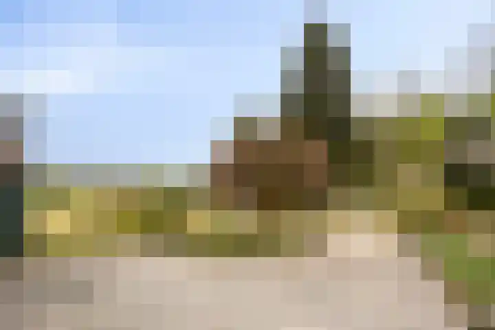 Jan Berendweg 7 De Rips thumbnail 43