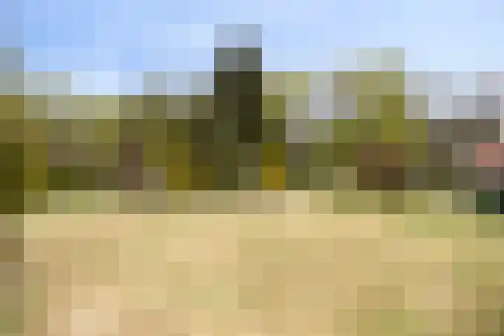 Jan Berendweg 7 De Rips thumbnail 44