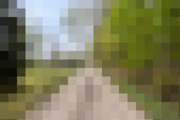 Jan Berendweg 7 De Rips thumbnail 45