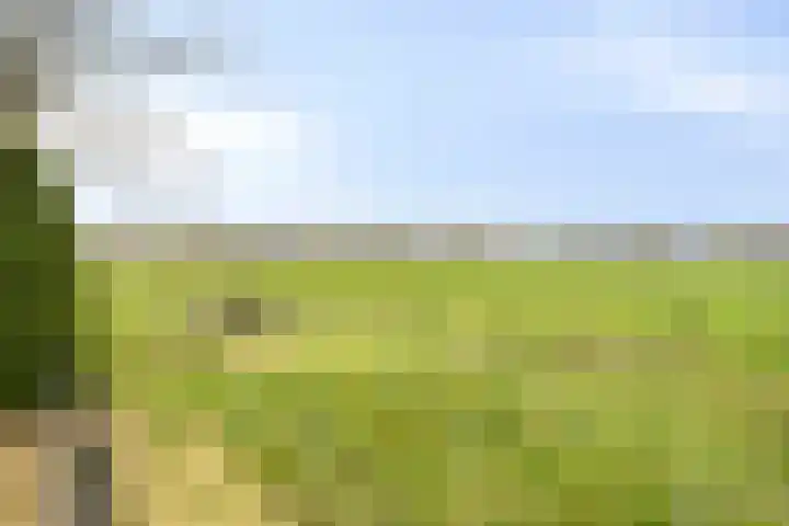 Jan Berendweg 7 De Rips thumbnail 48