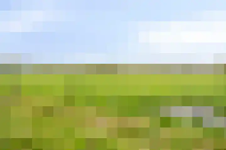 Jan Berendweg 7 De Rips thumbnail 49