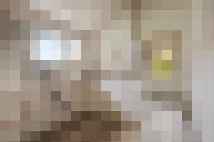 Jan Berendweg 7 De Rips thumbnail 5