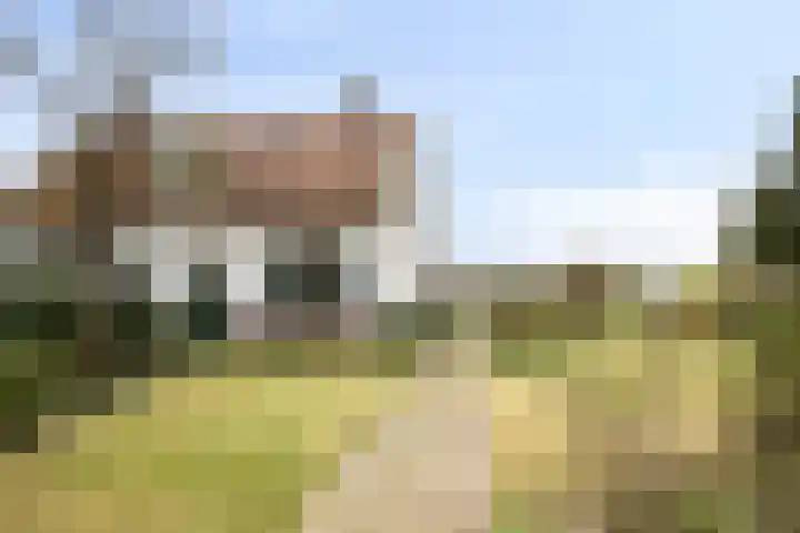 Jan Berendweg 7 De Rips thumbnail 6