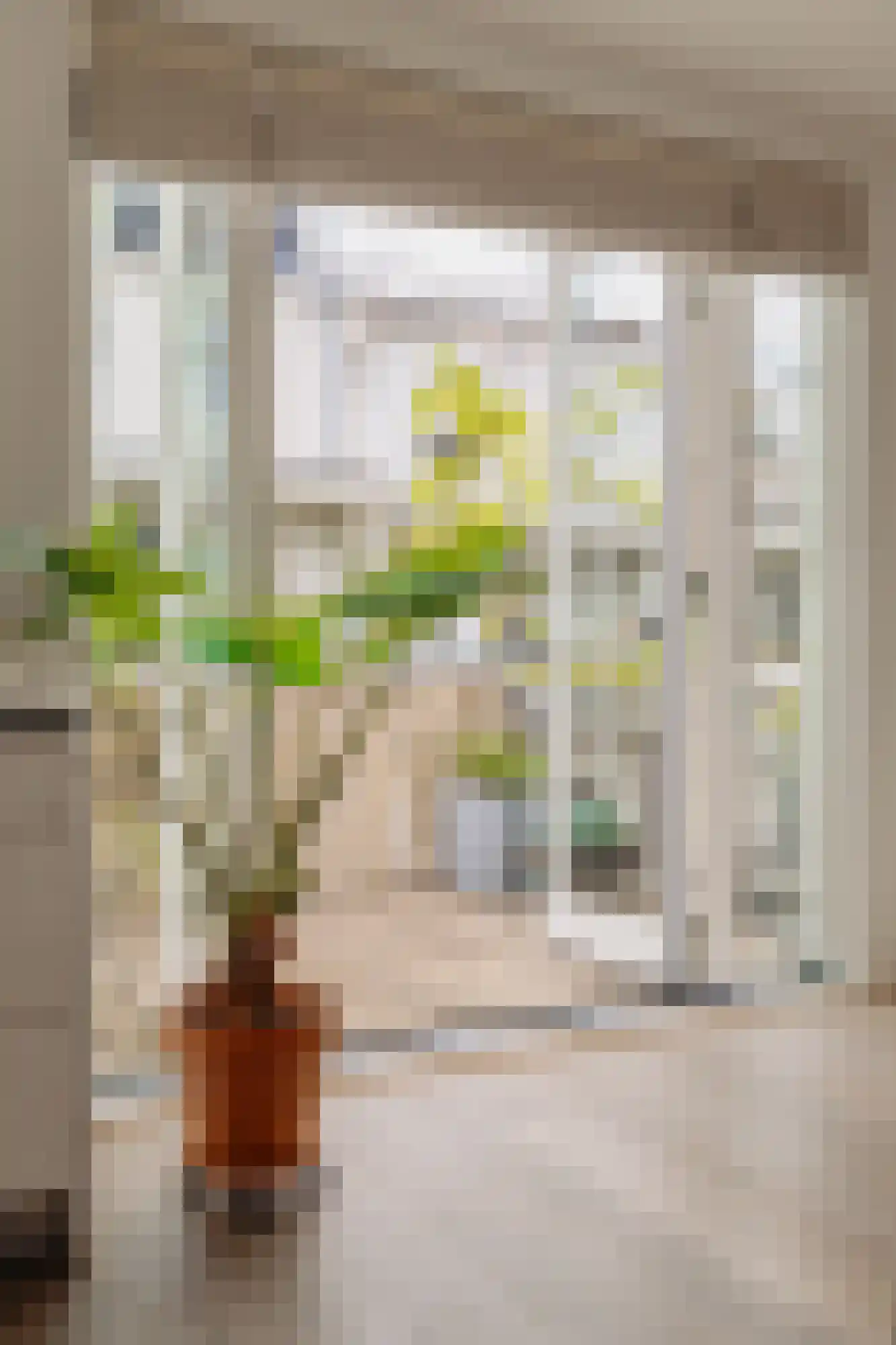 Jan Bernardusstraat 11 F Amsterdam thumbnail 12