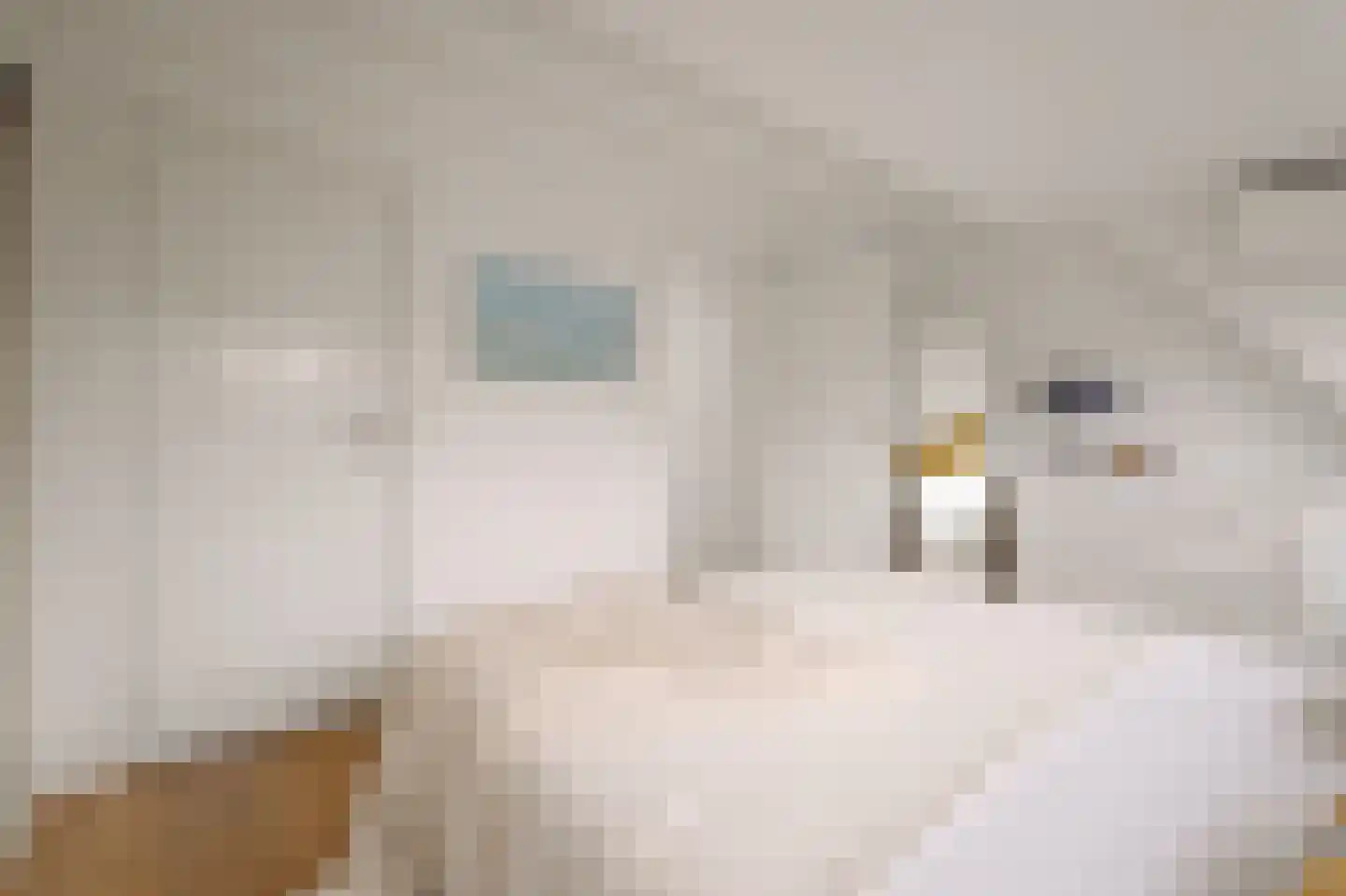 Jan Bernardusstraat 11 F Amsterdam thumbnail 16