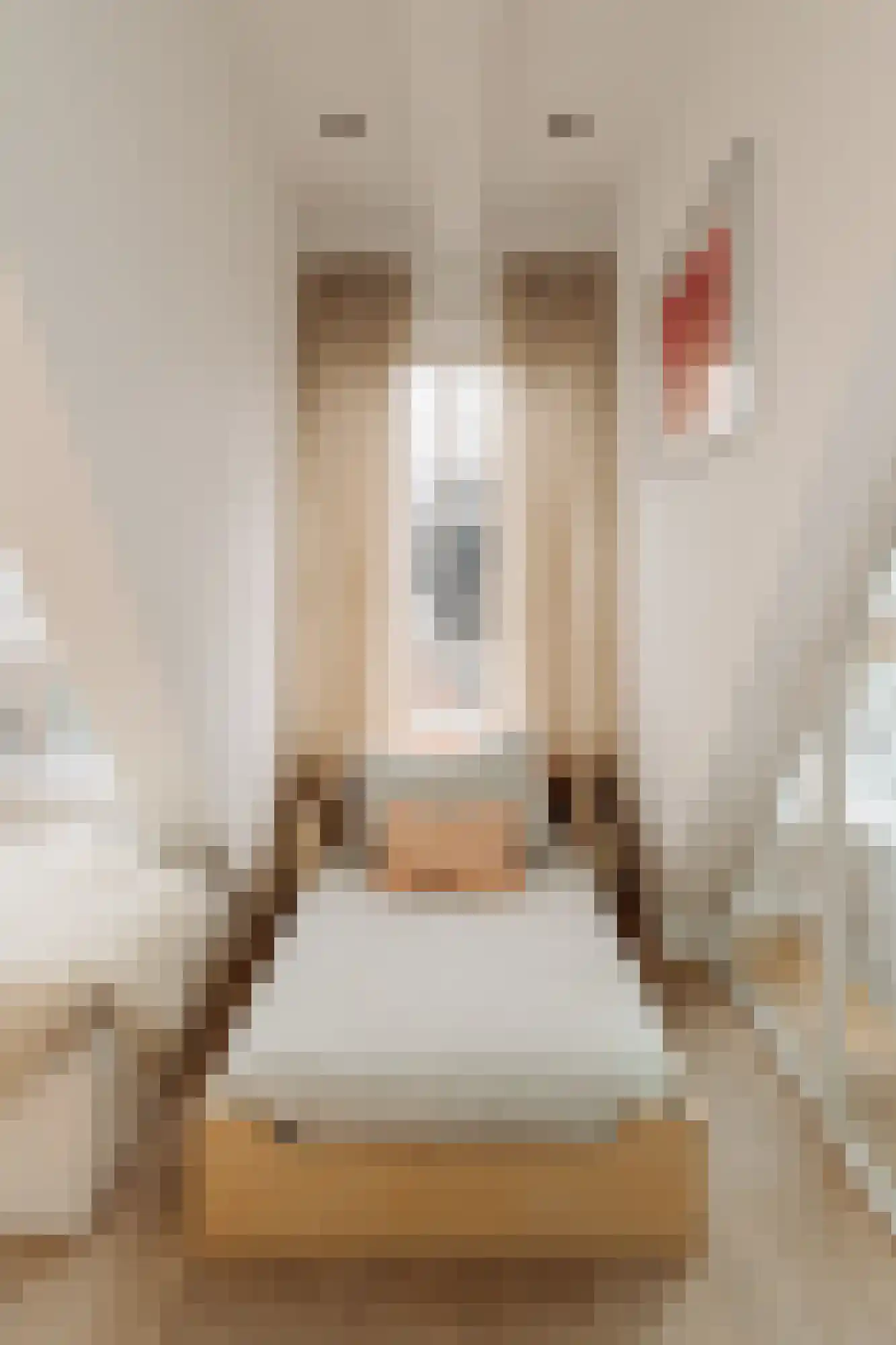 Jan Bernardusstraat 11 F Amsterdam thumbnail 22