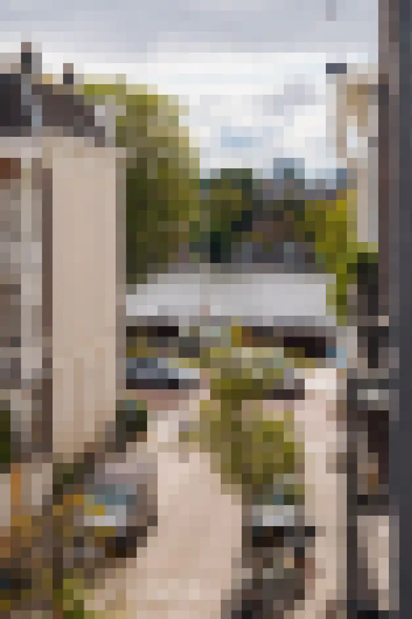 Jan Bernardusstraat 11 F Amsterdam thumbnail 32