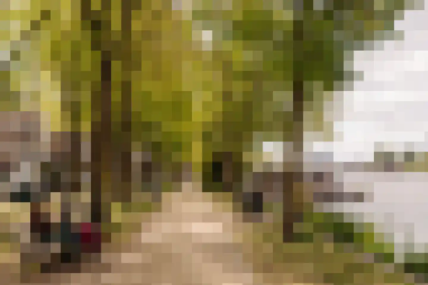 Jan Bernardusstraat 11 F Amsterdam thumbnail 34