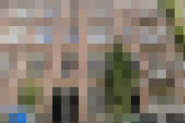 Jan Bernardusstraat 18 1L Amsterdam thumbnail 7