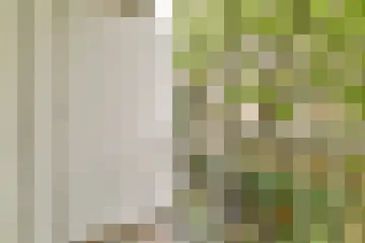 Jan Bernardusstraat 24 1R Amsterdam thumbnail 9