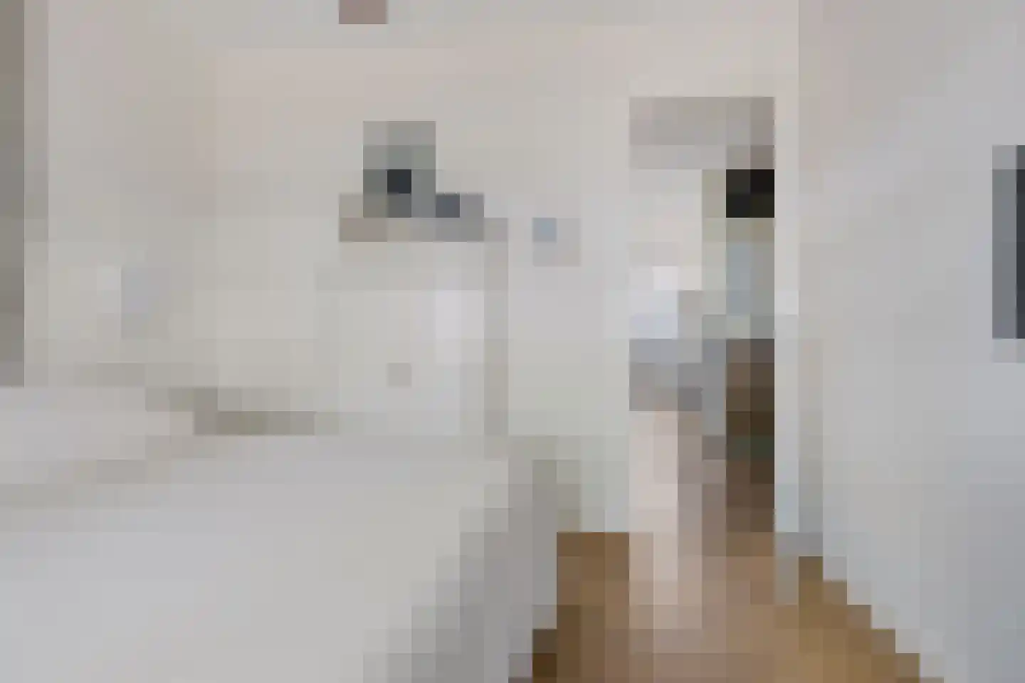 Jan Bertsstraat 18 Diemen thumbnail 8